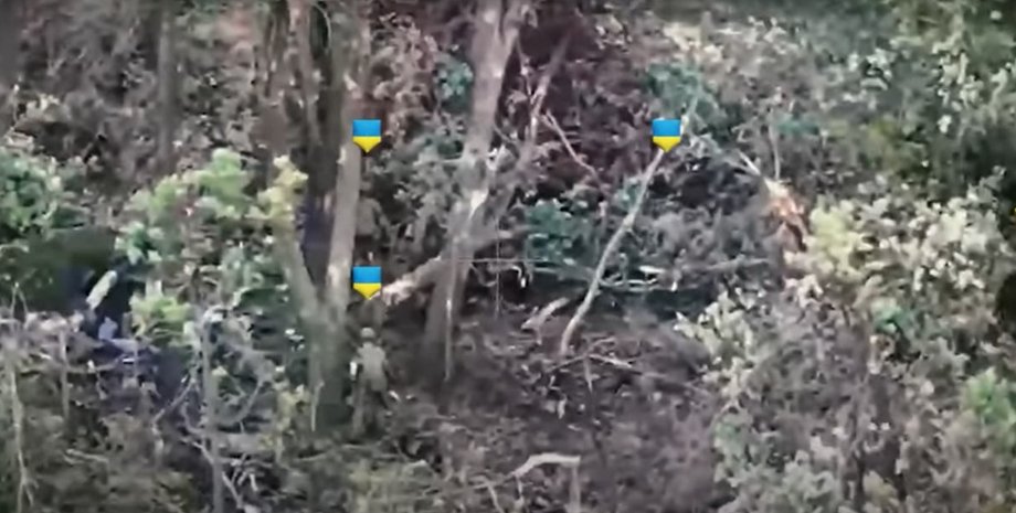 війна в україні