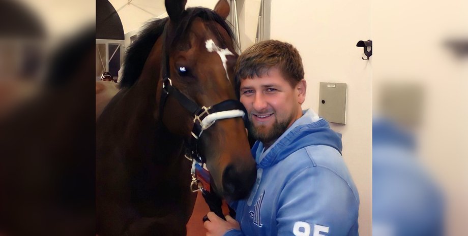 Рамзан Кадиров кінь, Рамзан Кадиров кінь, Зазу, жеребець Зазу