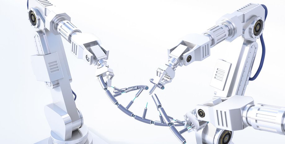 Фото: Westend61/Getty Images