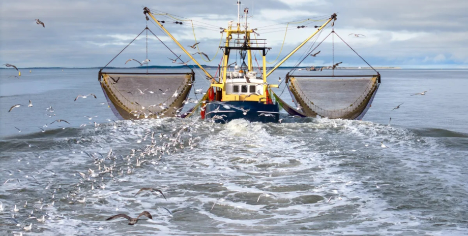 світовий океан траулер Найстрашніше місце: вчені вперше зняли «таран», що мчить морським дном і знищує все живе0