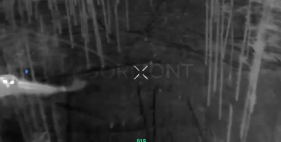 Сова сбивает дрон