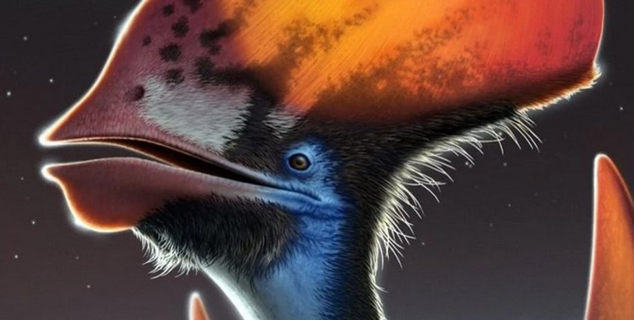 Птерозавр, Tupandactylus imperator