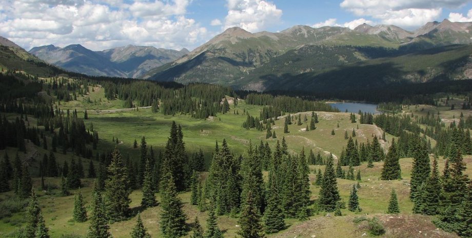 науковці досліджували луг в колорадо
