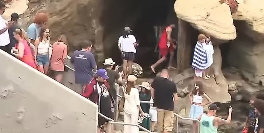 Нападение морского льва Нападение морского льва