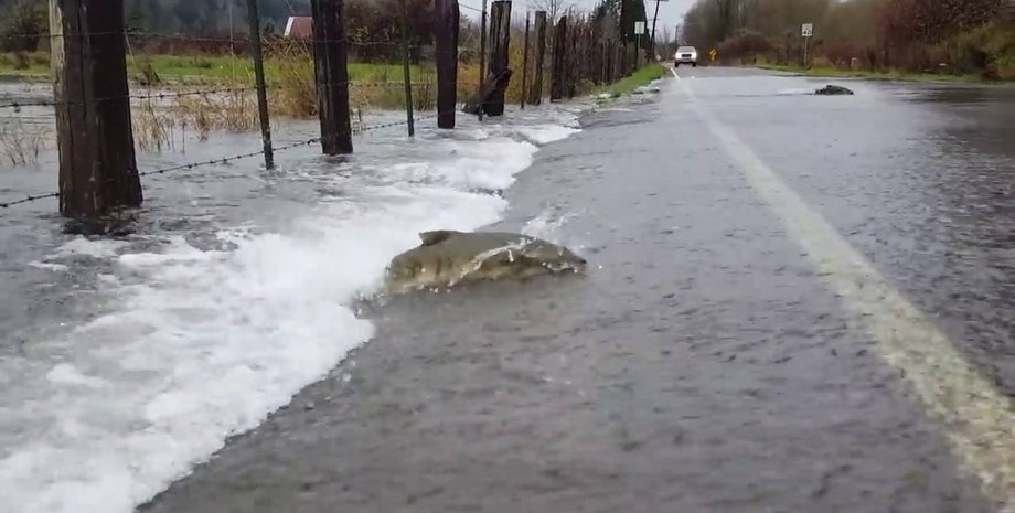 Фото: facebook.com/beautyphotograpy/