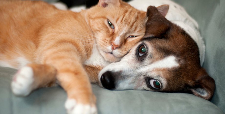 Фото: Psychologies