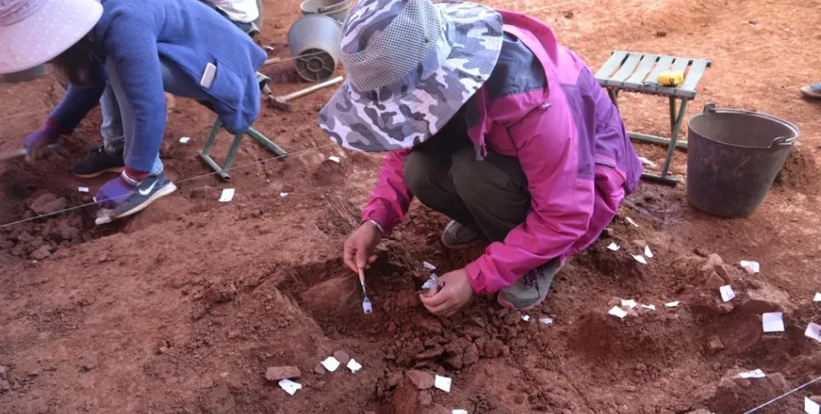 археологи, китай, розкопки, археологія, артефакти