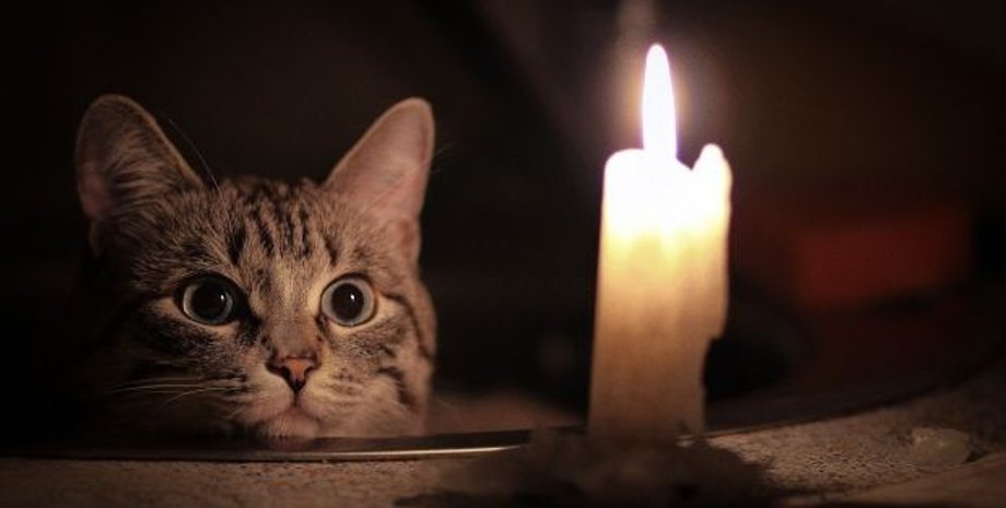 Фото: kremen.today