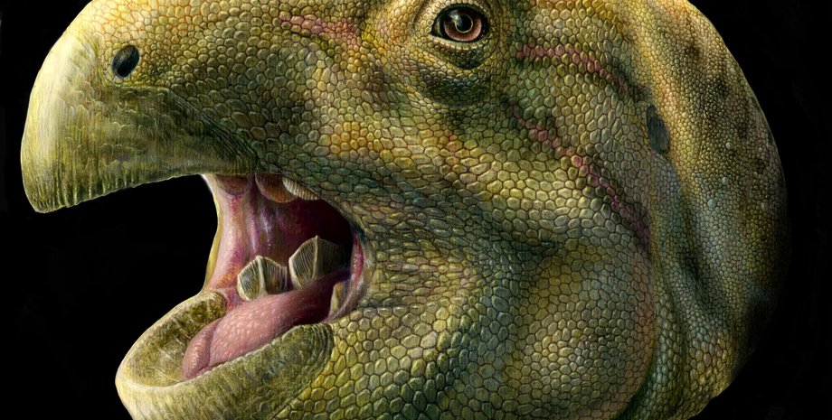 Художественная реконструкция головы Matheronodon provincialis  / Lukas Panzarin