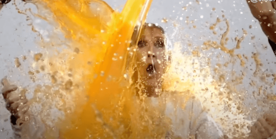 Селин Дион, Селин Дион болезнь, футбол, Селин Дион облили соком, где сейчас Селин Дион, футбольный матч