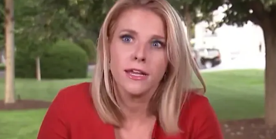 Птичка села на голову репортеру, телеканал NewsNation, Келли Мейер, курьезы перед камерой, прямой эфир