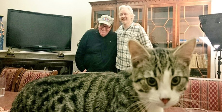 Фото: twitter.com/EmbassyCat