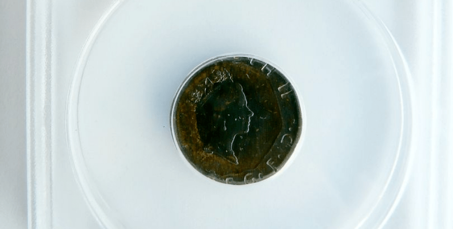 Редкая монета, единственный экземпляр, монета, деньги, 20 пенсов, продали на аукционе, монета с ошибкой, коллекционер