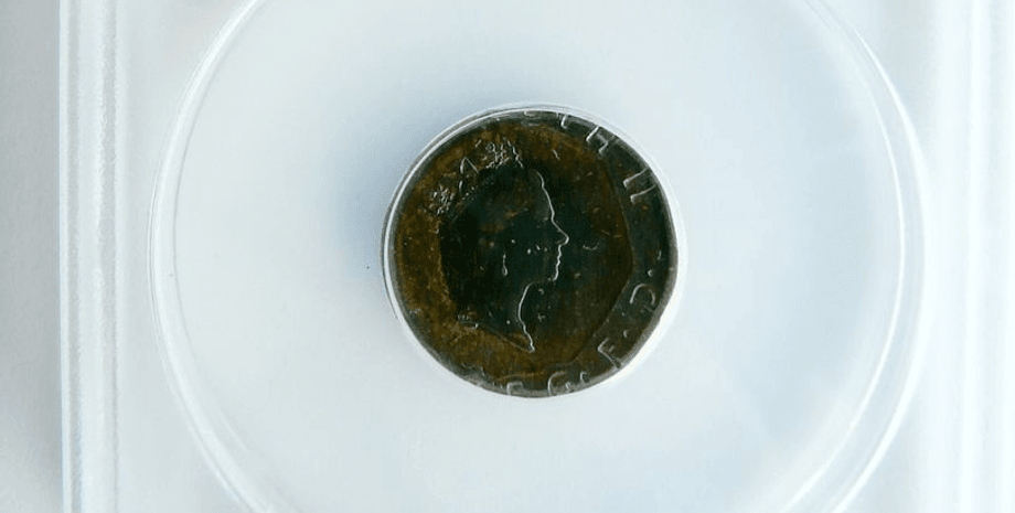 Редкая монета, единственный экземпляр, монета, деньги, 20 пенсов, продали на аукционе, монета с ошибкой, коллекционер