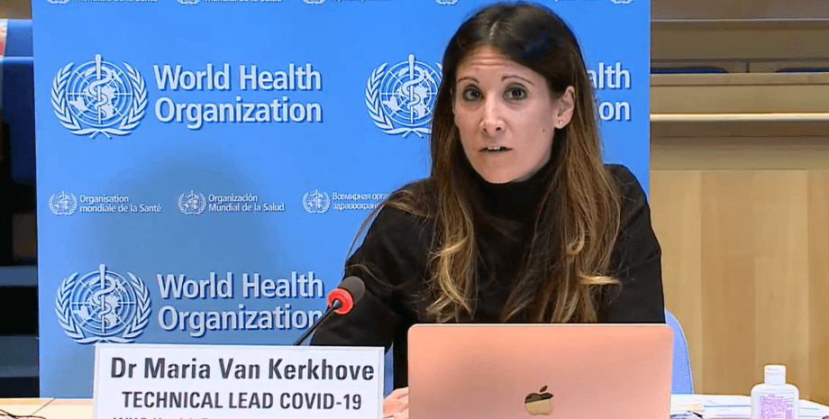 Фото: скриншот