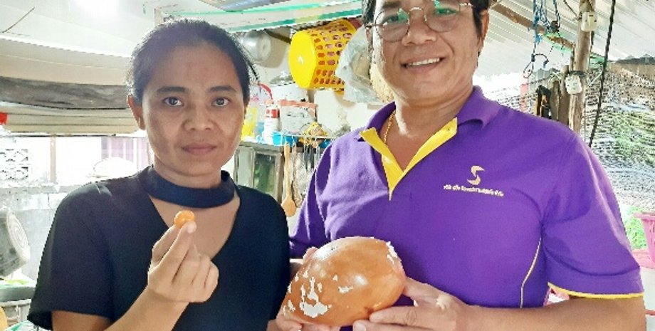 дальнобойщик, таиланд, жемчужина, жемчуг мело