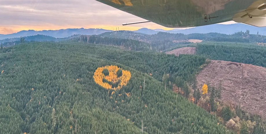 смайл орегонський ліс