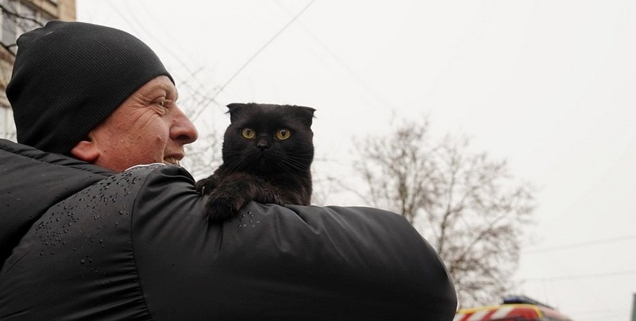 кішка Мія Удар по багатоповерхівці в Тернополі