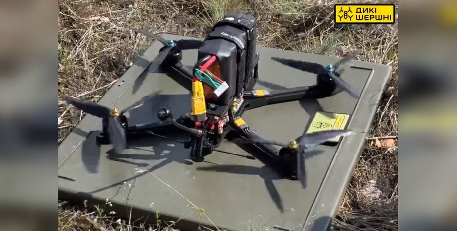 БПЛА, нейросеть, машинное зрение, FPV-дрон, ИИ, война в Украине, фото