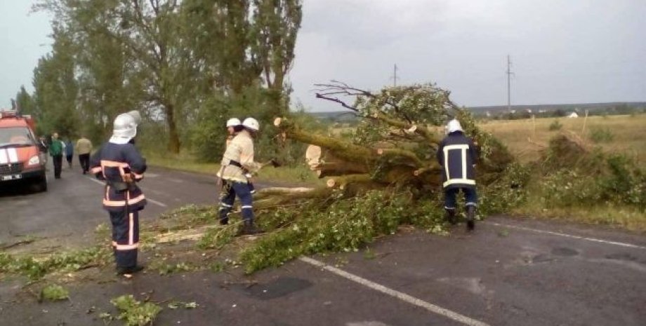 Фото: ГСЧС