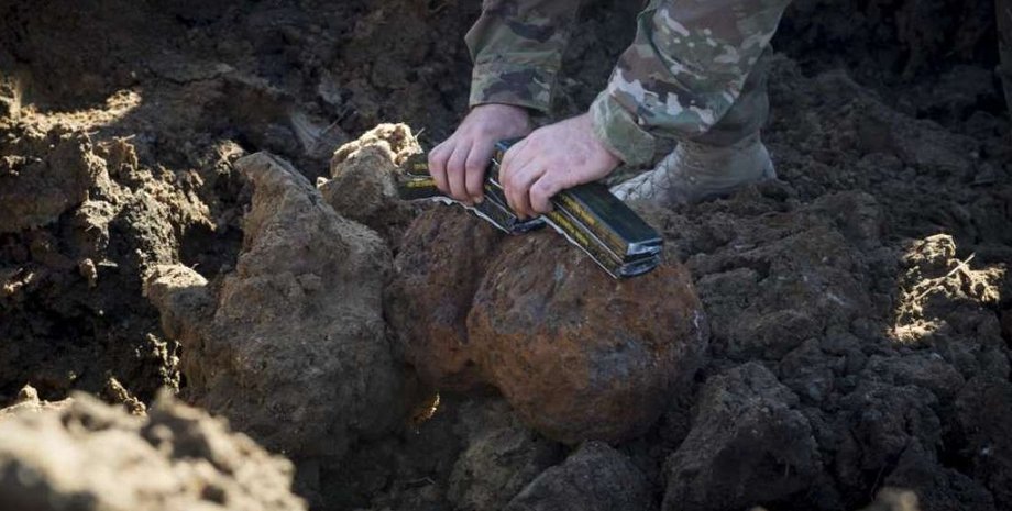 Фото: iflscience