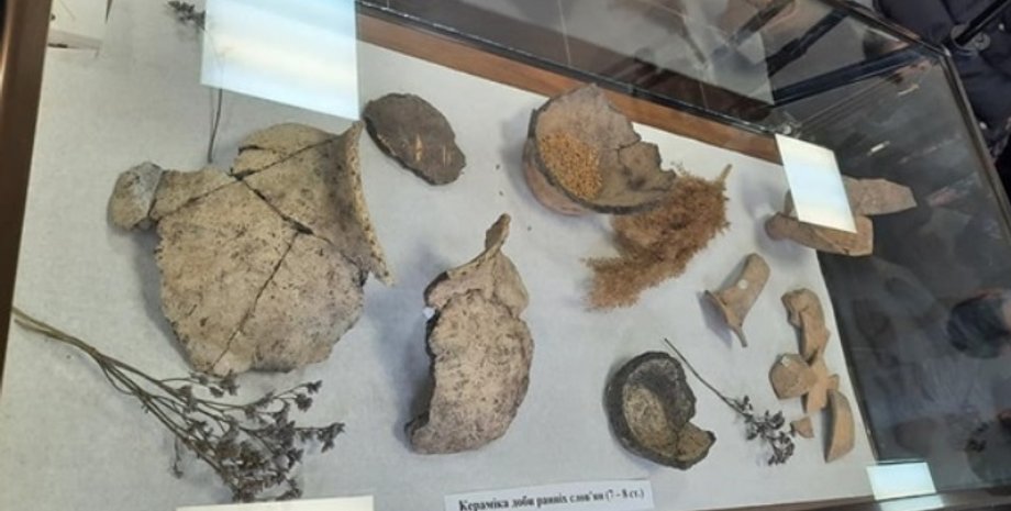 Днепр, артефакты, клад, находка, монеты, Укравтодор, трасса, раскопки