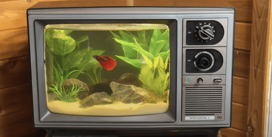 старые гаджеты как использовать дома