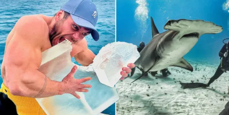 Мужчина сел на диету тигровой акулы, он поглотил 41 000 калорий за два дня, эксперименты, питание, курьезы