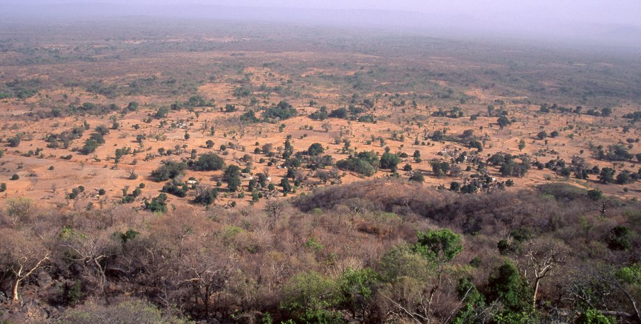 археологія, кухня древніх людей, древні люди, знахідка, розкопки, рецепти, дослідження, останки