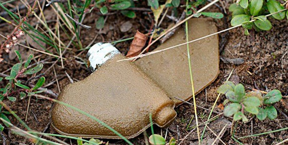 Минирование Херсона Лепестками