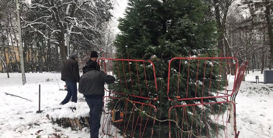 Ограждения на елках