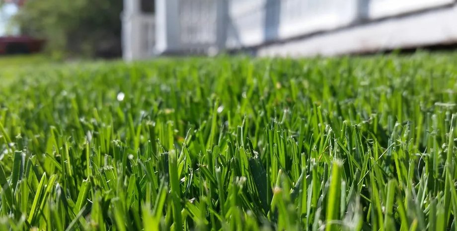 большая британия, благоустройство, весенние работы, мусор, пылесос, газон