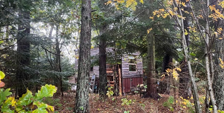 Мужчина возвел крошечный дом посреди леса, уволился с работы и наслаждается природой