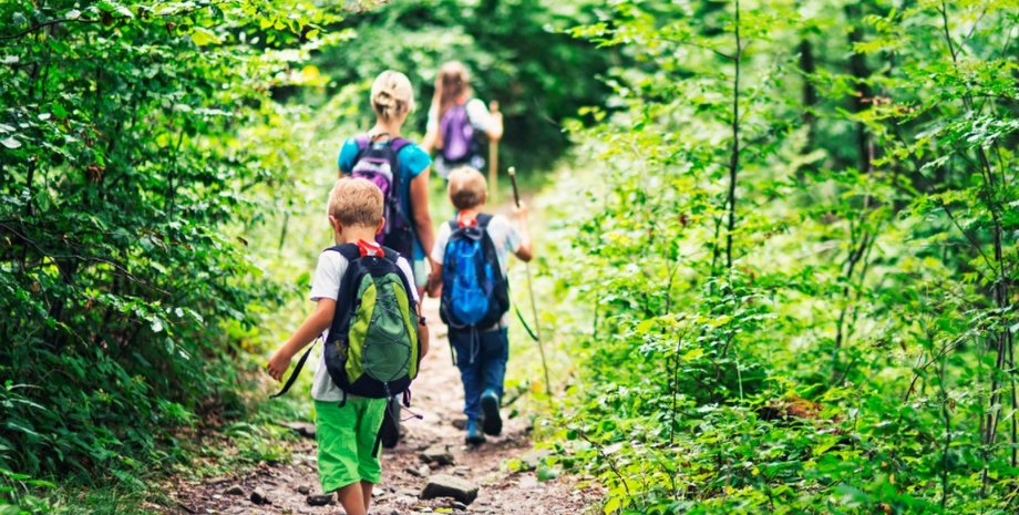 прогулки, природа