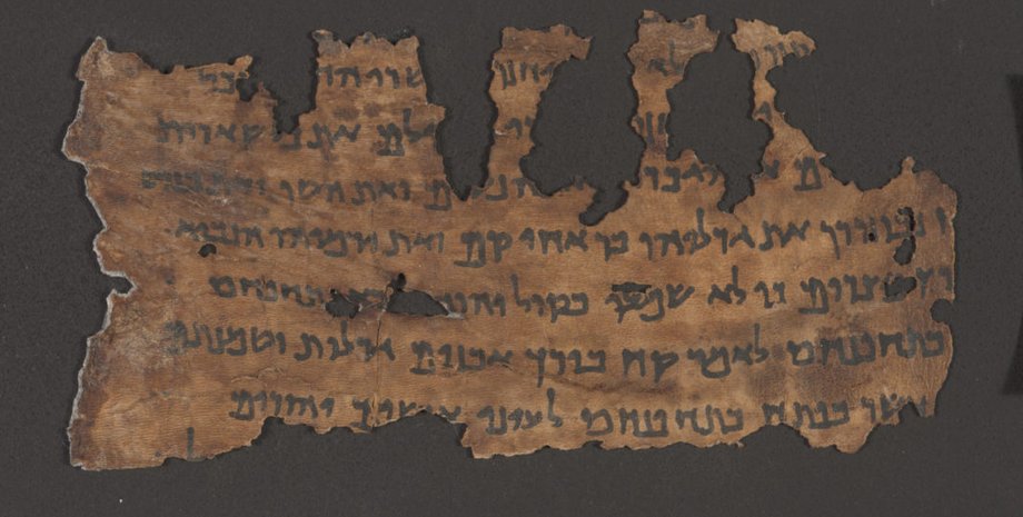 Фото: Rechavi Lab, TAU