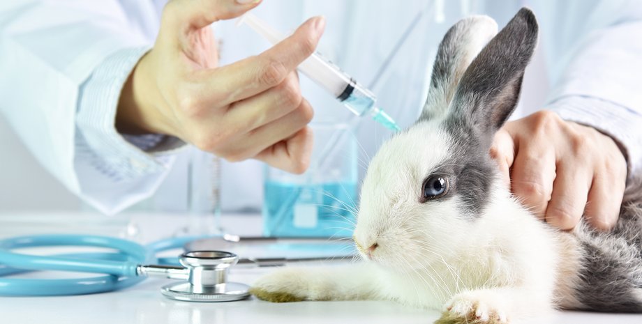 Фото: Artfully79/Getty Images