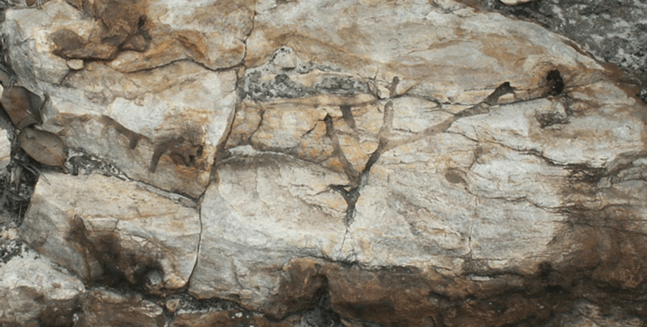 нори, копалини тварини, кварцит, гора