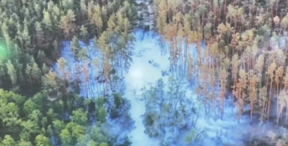 британская разведка