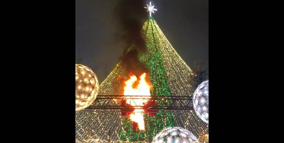 софийская, елка, огни, кличко, новогодняя, главная ель