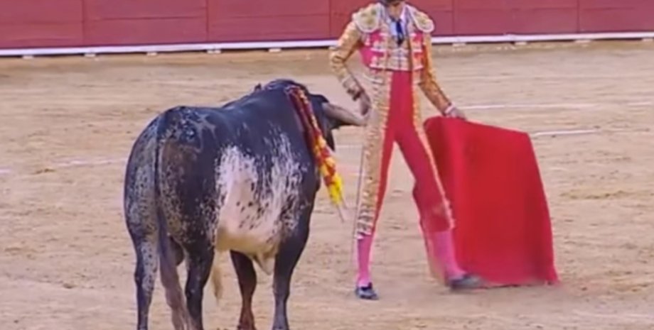 Последний бой Виктора Баррио / Фото: YouTube