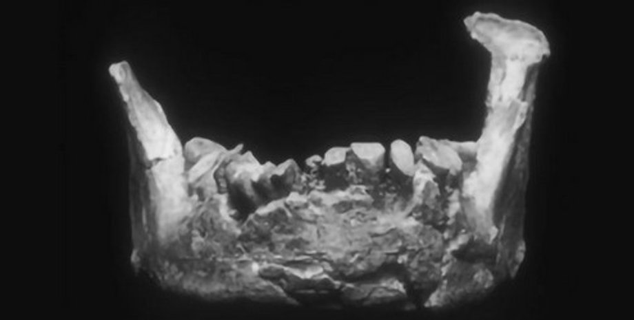 челюсть, Баньолес, древний человек