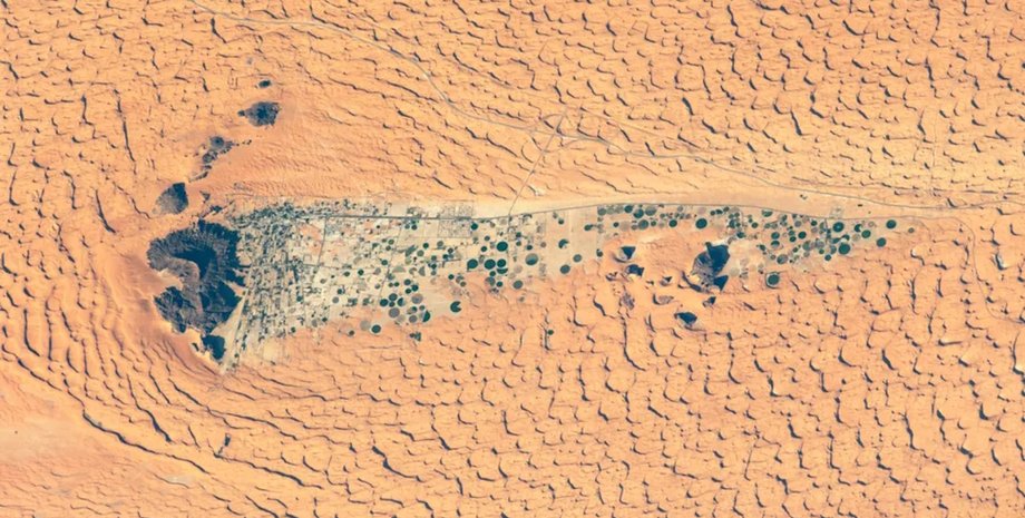 город джубба