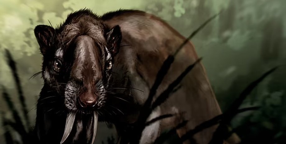 скам’янілості, дослідження, наука, вимирання, древні тварини, древній хижак, сумчасті, хижі тварини, древні хижаки, аномалія, шаблезубі, тварини хижаки, хижацтво, аномалія