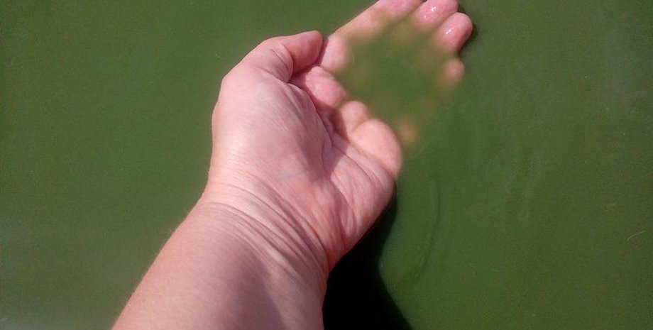 Фото: facebook.com/isfrolova