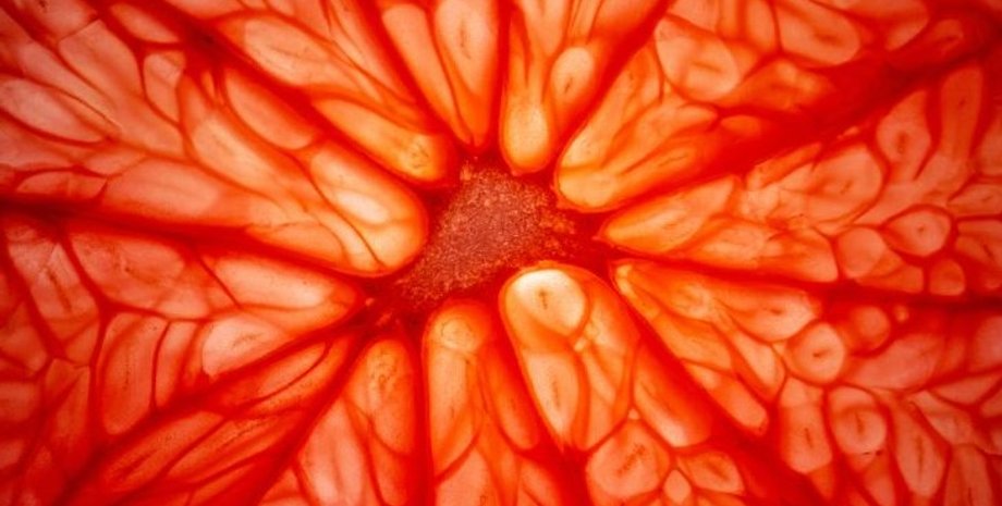 грейпфрут, небезпека грейпфрута, небезпека грейпфрута