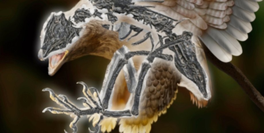 пернатый динозавр