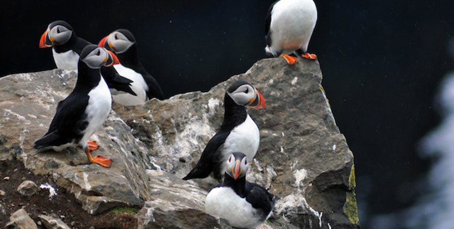 Фото: Jennifer Boyer / Flickr