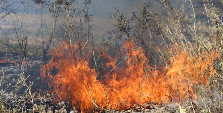 Фото: Пресс-центр штаба АТО