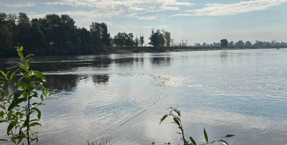 Забруднена вода з Десни дісталася Київської області, — Держводагентство (відео)