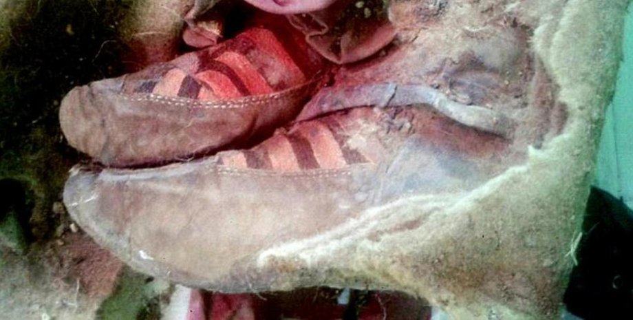 Найденная мумия / Фото: Музей Khovd